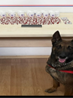 JANDARMADAN UYUŞTURUCU OPERASYONU