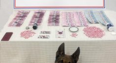 İKİ İLÇEDE UYUŞTURUCU OPERASYONU