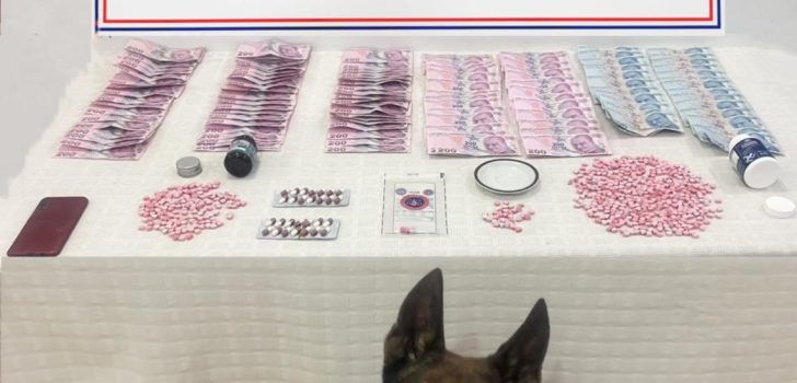 İKİ İLÇEDE UYUŞTURUCU OPERASYONU