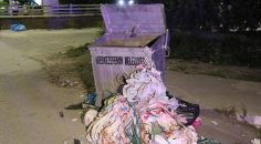 ÇÖPTEN BEBEK CESEDİ ÇIKTI