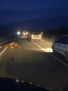 OTOMOBİL, ATA ÇARPTI: 1 ÖLÜ, 1 YARALI