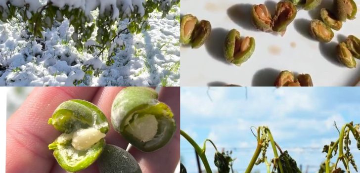 ÜRETİCİNİN BORÇLARI ÖTELENSİN