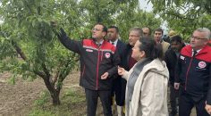 TARIM BAKAN YARDIMCISINDAN ÇİVRİL’DE İNCELEME