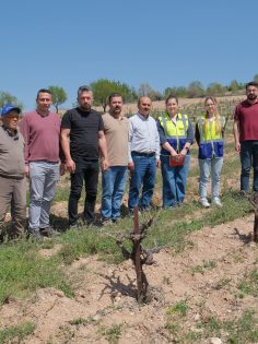 TARIM ALANLARINDA DON ZARARI  İNCELENİYOR