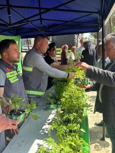 ÇİFTÇİLERE YERLİ FİDE DESTEĞİ