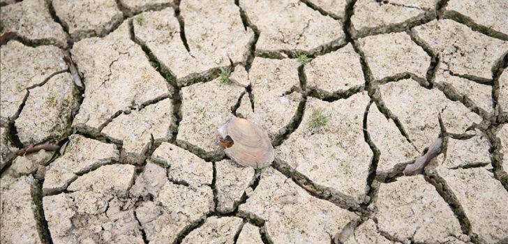 DENİZLİ’DE KURAKLIK ALARMI