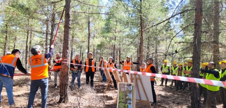 AĞAÇ DÜŞMANI BÖCEKLERLE MÜCADELE BAŞLADI