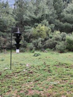 KABUK BÖCEĞİ İÇİN FEROMON TUZAĞI