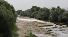 MENDERES NEHRİ SUSUZ KALDI
