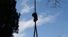 KADIN KENDİNİ AĞACA ASARAK YAŞAMINA SON VERDİ