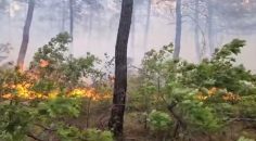 KALE’DEKİ ORMAN YANGINI KONTROL ALTINDA ALINDI