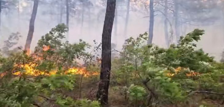 KALE’DEKİ ORMAN YANGINI KONTROL ALTINDA ALINDI