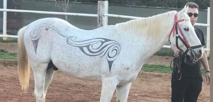 SANATINI ATA İŞLEDİ