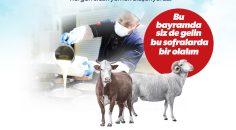 AŞEVİ’NDEN ANLAMLI KURBAN BAYRAMI KAMPANYASI
