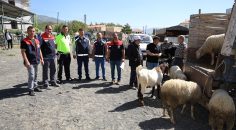 KURBANLIK DENETİMLERİ ARALIKSIZ DEVAM EDİYOR