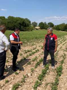 GÜNEY’DE HASAR TESPİTİ YAPILDI