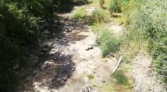 MENDERES NEHRİ KURUDU