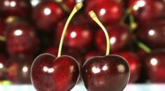 HONAZ, KİRAZ FESTİVALİ’NE HAZIRLANIYOR