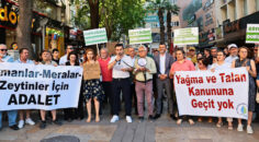 ÇEVRECİLERİN ÇINAR’DA ZEYTİN EYLEMİ