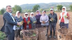 BEYAĞAÇ’TA ÜCRETLER BELİRLENDİ