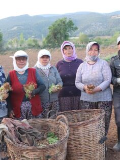 BEYAĞAÇ’TA ÜCRETLER BELİRLENDİ
