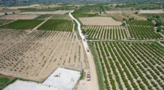 KOCADERE MAHALLESİNE NEFES ALDIRAN ARAZİ YOLU