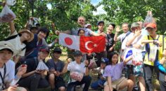 JAPON KONUKLARDAN KİRAZ HASADINA YOĞUN İLGİ