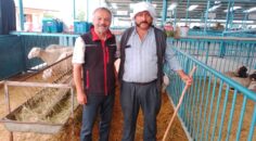 “SAĞLIĞINIZ İÇİN KURBANLIĞINIZI HAYVAN PAZARINDAN ALIN”