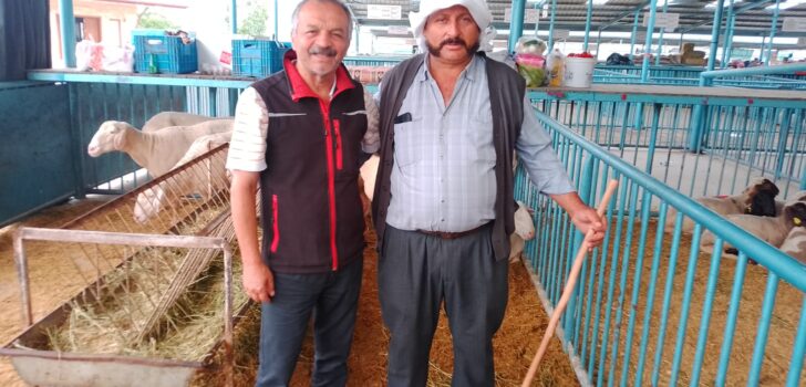 “SAĞLIĞINIZ İÇİN KURBANLIĞINIZI HAYVAN PAZARINDAN ALIN”