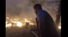 HONAZ’DA ORMANA DÜŞEN YILDIRIM YANGIN ÇIKARDI