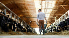 DENİZLİ TARIMINA 87.4 MİLYONLUK DESTEKLEME