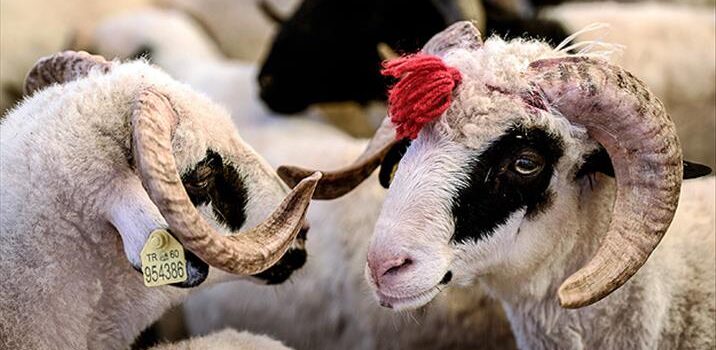 DENİZLİ’DE BAYRAMLAŞMA PROGRAMI NETLEŞTİ