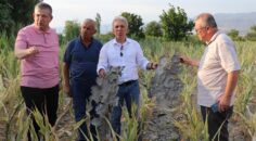 SUBAŞIOĞLU, ÇAVUŞOĞLU’NA SESLENDİ: REKLAMI VE ALGIYI BIRAKIN!