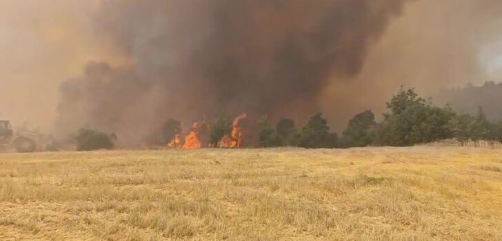 ÇAL’DA MAKİLİK ALANDA YANGIN ÇIKTI