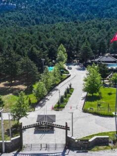 YATAĞAN BIÇAKÇILIK FESTİVALİ BAŞLIYOR