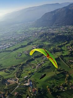 ÇAMELİ FESTİVALE HAZIRLANIYOR