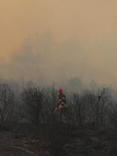 ACIPAYAM’DA YANGIN SÖNDÜRÜLDÜ