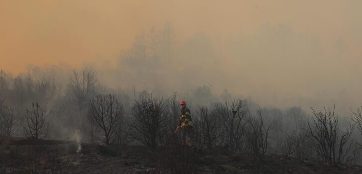 ACIPAYAM’DA YANGIN SÖNDÜRÜLDÜ