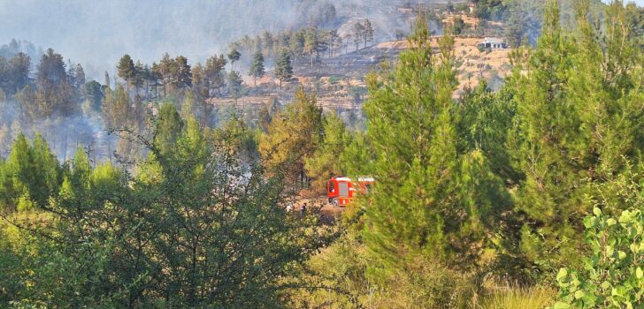 YANGIN BÜYÜK ÖLÇÜDE KONTROL ALTINA ALINDI