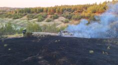 ARAÇ YANGINI ORMANLIK ALANI DA YAKTI