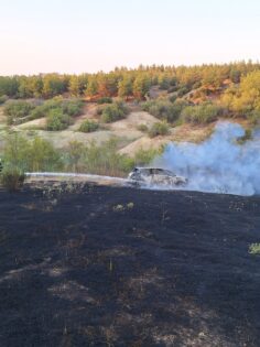 ARAÇ YANGINI ORMANLIK ALANI DA YAKTI