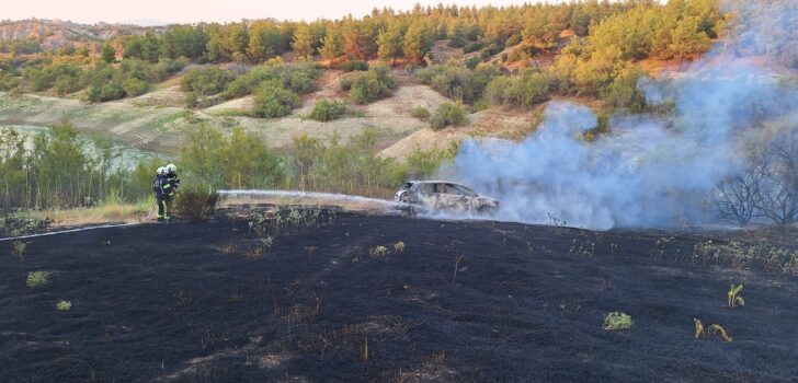 ARAÇ YANGINI ORMANLIK ALANI DA YAKTI