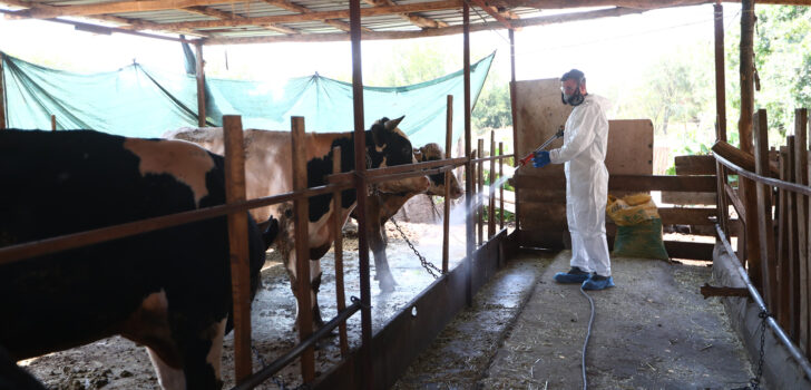 PAMUKKALE BELEDİYESİ’NDEN HAYVANCILIĞA TAM DESTEK