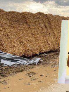 KONTROLDEN ÇIKAN TIR DEVRİLDİ: BABA ÖLDÜ, EŞİ VE İKİ ÇOCUĞU YARALI