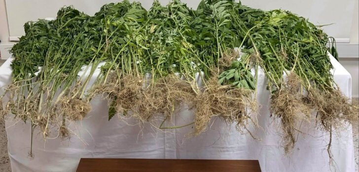 SARAYKÖY’DE UYUŞTURUCU OPERASYONU