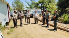 ORMAN BÖLGEDE İNCELEME