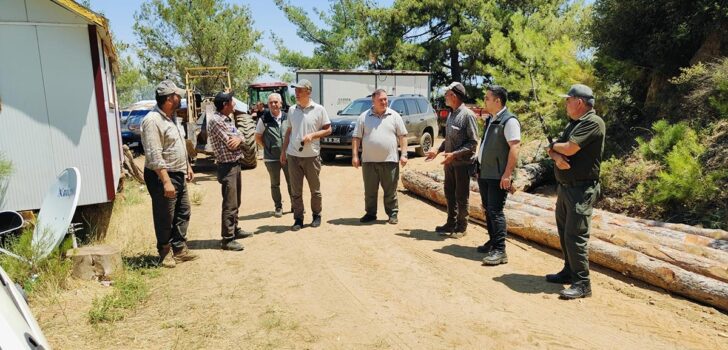 ORMAN BÖLGEDE İNCELEME