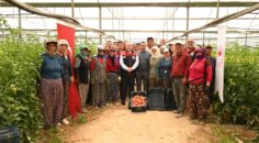 DENİZLİ’DE SERACILIK YÜKSELİYOR