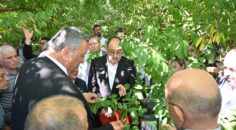 KOMİSYON, ÇİVRİL’DE MEYVE BAHÇELERİNİ İNCELEDİ