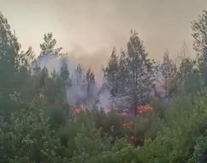 ACIPAYAM’DA ORMAN YANGINI